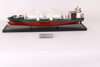 customized model of 193米杂货船